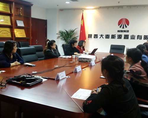 大秦置業(yè)公司積極開(kāi)展銅川新區(qū)存量土地財(cái)稅業(yè)務(wù)座談交流