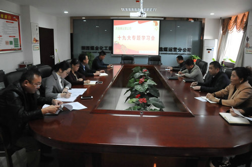 洗選煤運營公司認真學(xué)習(xí)傳達十九大精神