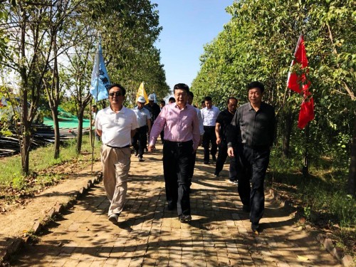 陜西省總工會(huì)黨組書(shū)記、主席白阿瑩一行蒞臨鄠邑區(qū)調(diào)研考察草堂寺健康養(yǎng)老示范項(xiàng)目