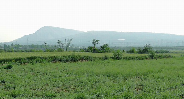 用自己的方式去愛(ài)