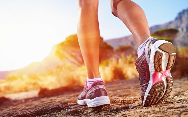 今天，你鍛煉了嗎