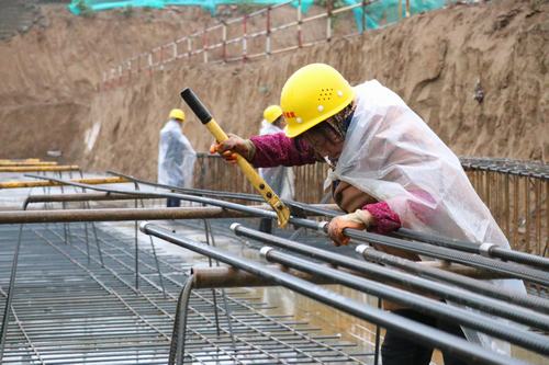雨天里，“小蜜蜂們”在“筑巢”