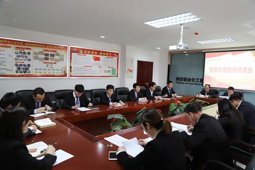 陜煤建設(shè)洗選煤分公司機關(guān)黨支部召開黨員承諾踐諾評諾專題會