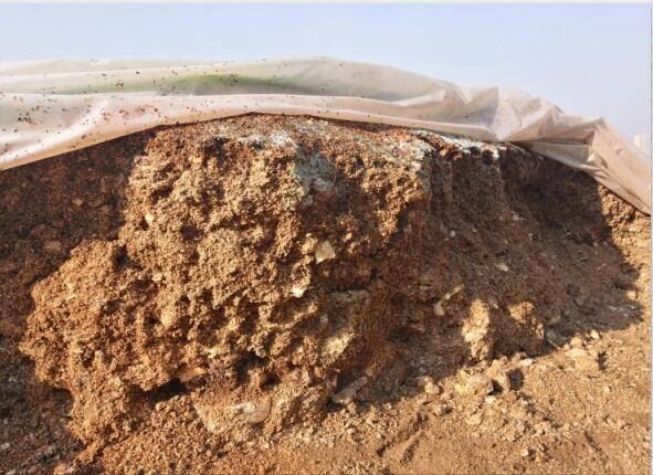 “廢料”變“肥料”，蘑菇包在土壤改良中的應(yīng)用