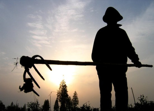 父親的勞動(dòng)觀