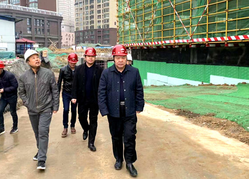 寧興剛深入大秦置業(yè)公司龍灣水境項(xiàng)目檢查指導(dǎo)工作