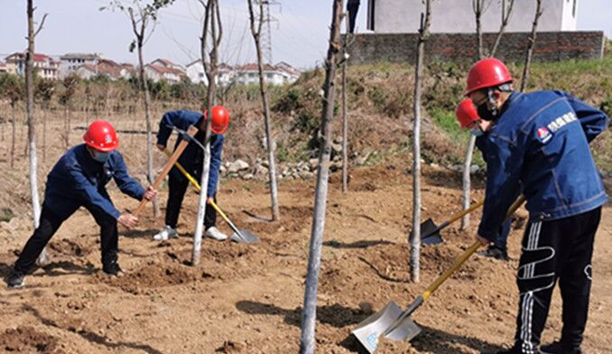 今天你植樹(shù)了嗎？