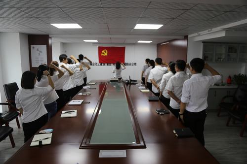 咸陽分公司積極開展“慶七一”主題黨日活動(dòng)