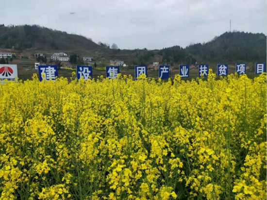 公司領(lǐng)導(dǎo)寧興剛、侯本英到扶貧定點(diǎn)幫扶村看望慰問困難群眾