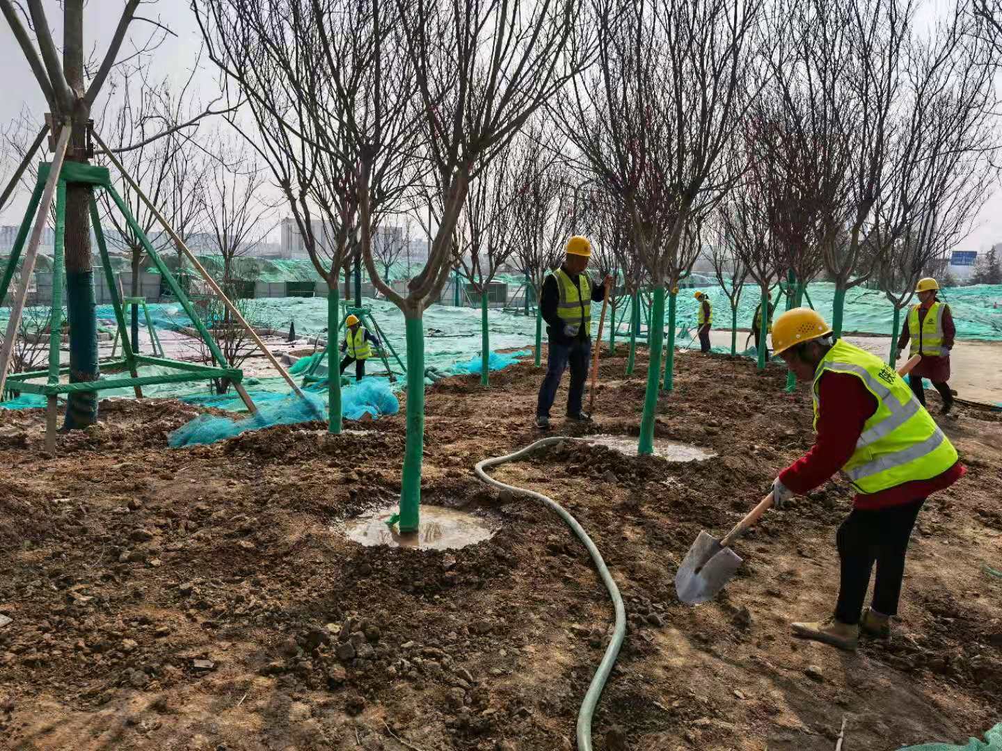 陜煤建設(shè)綠宇公司：為大地添綠正當(dāng)時