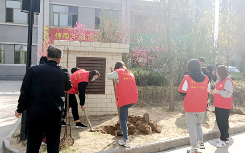 陜煤建設公司：開展綠化補種 打造美好家園
