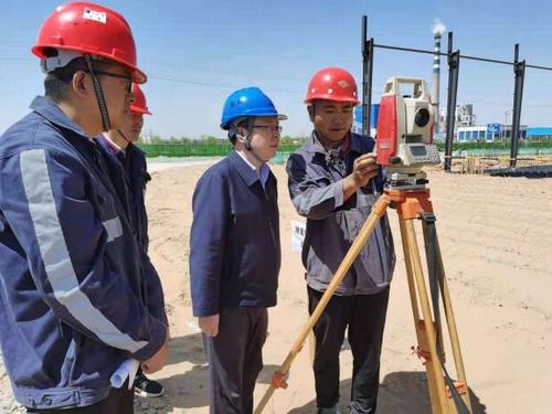 陜煤建設洗選煤運營公司佳縣甜葉菊項目部：技術保質量 安全促發(fā)展