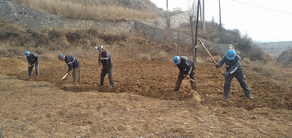 陜煤建設(shè)洗選煤運營公司左權(quán)洗煤廠項目部：春耕“小菜園”，播種幸福感