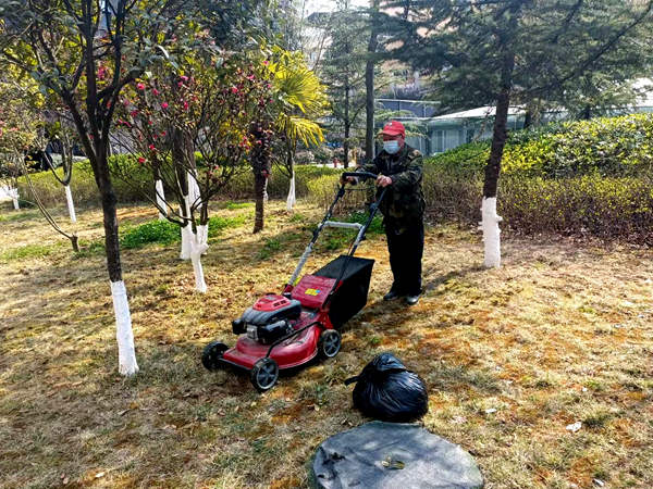 建設(shè)集團(tuán)大秦置業(yè)公司：修剪養(yǎng)護(hù)植被為小區(qū)添“新裝”