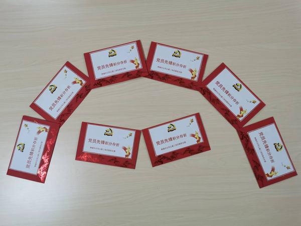 “黨員先鋒”的播種、開花與結(jié)果