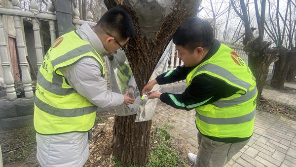 陜煤建設(shè)路橋分公司渭南項目部開展“綠色修復(fù)，生態(tài)共贏”別樣植樹節(jié)活動