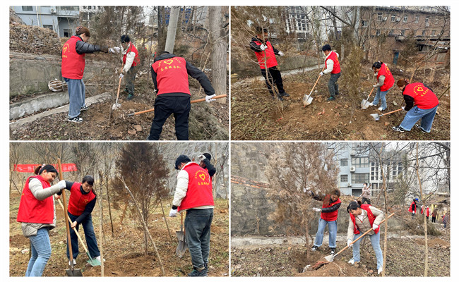 陜煤建設(shè)機電安裝公司：走，上春山，植樹去！