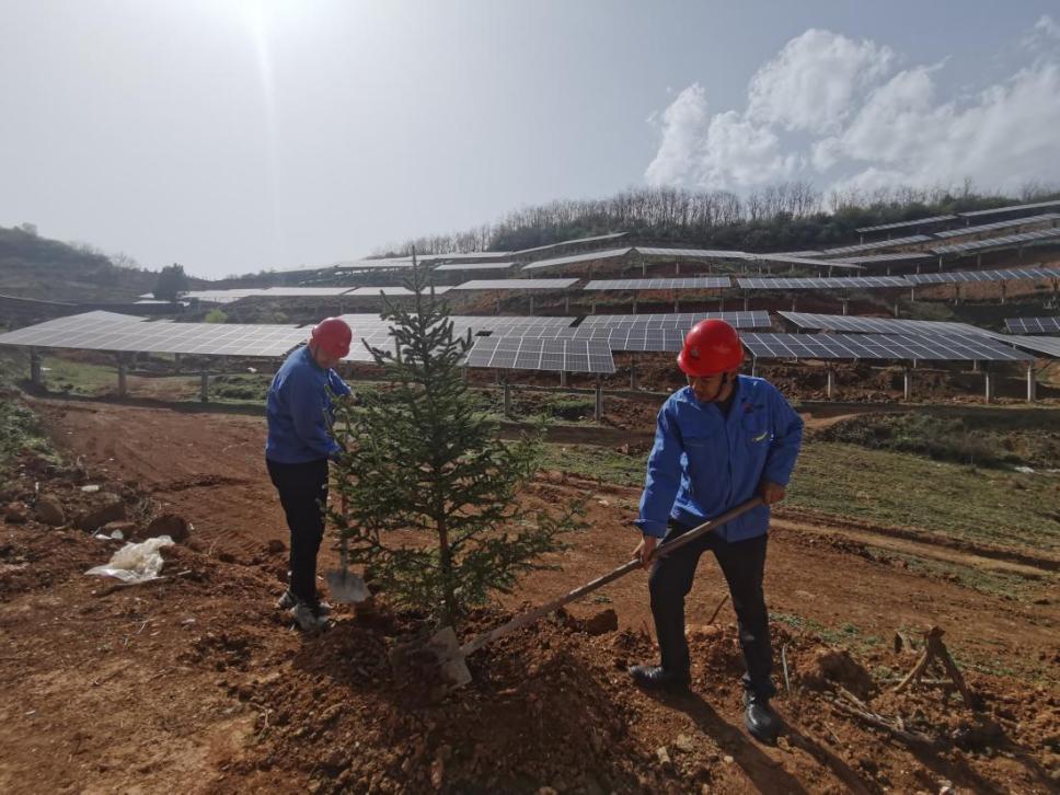 陜煤建設(shè)西北分公司機(jī)電安裝項(xiàng)目部： 全員參與，共筑綠色屏障