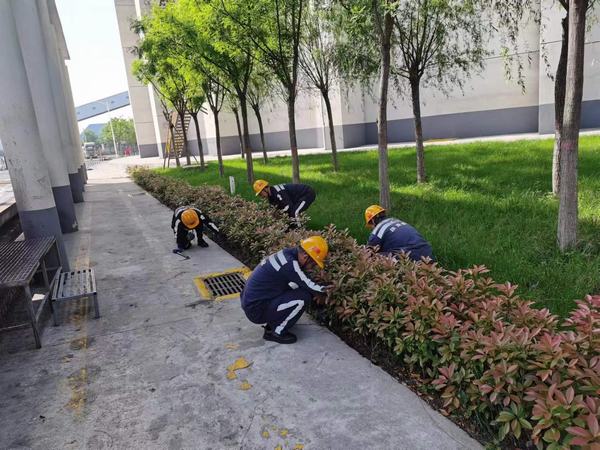 陜煤建設(shè)洗選煤運(yùn)營(yíng)公司神渭蒲城運(yùn)營(yíng)項(xiàng)目部：逐”綠”而行 向”綠”而興！廠區(qū)綠化在行動(dòng)