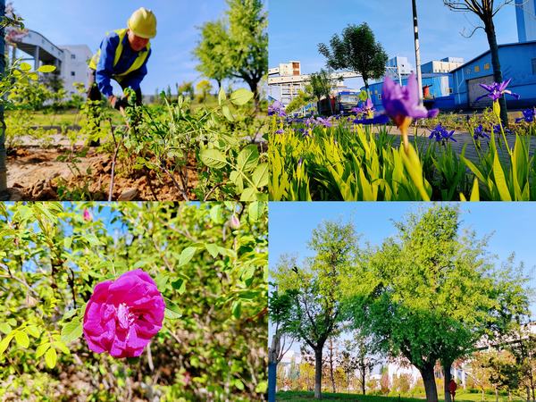 陜煤建設(shè)洗選煤運營公司紅柳林洗煤廠項目部：強(qiáng)化綠色三大支柱  筑牢綠色生態(tài)屏障
