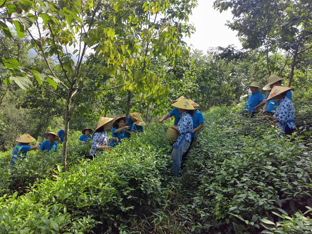 陜煤建設(shè)煤礦運(yùn)營服務(wù)分公司：赴天池村開展主題黨日活動(dòng)