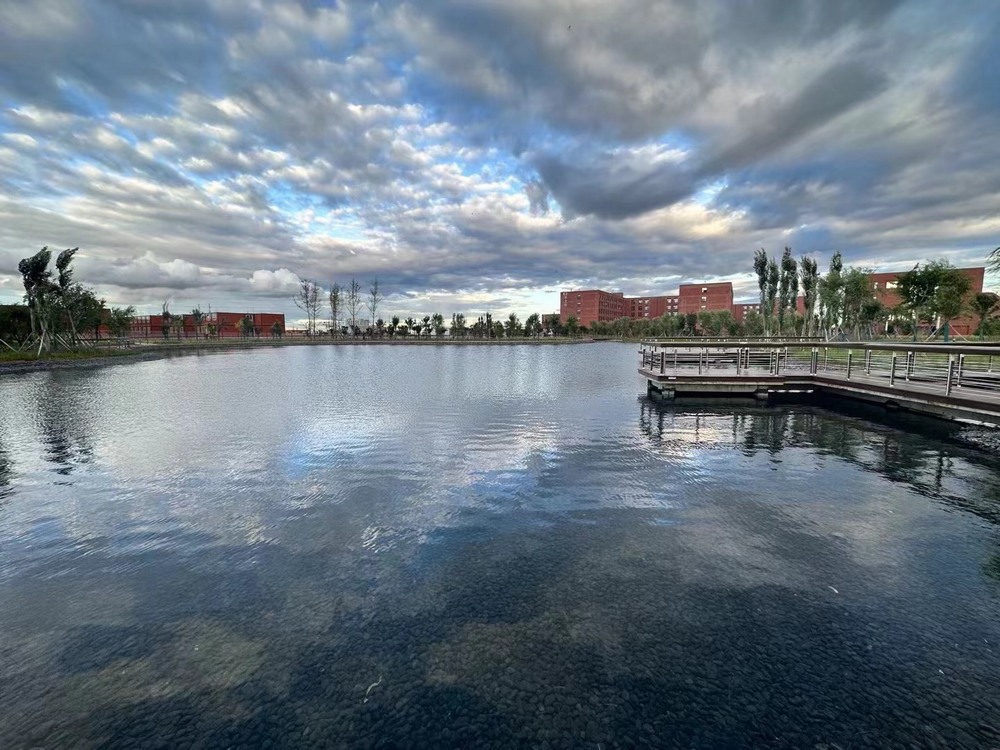 我與企業(yè)同成長共繁榮