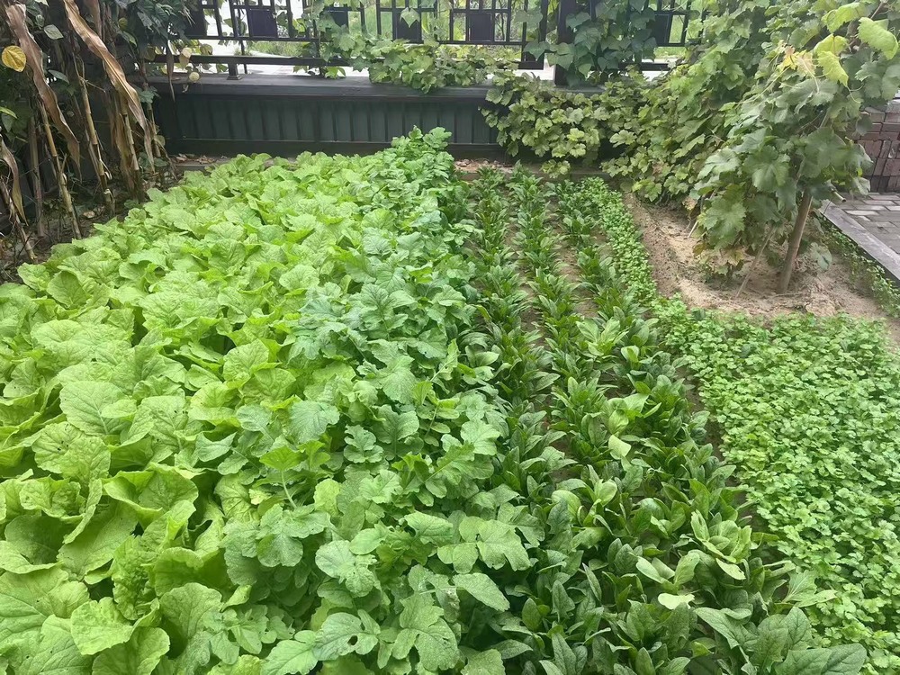 工地之上，家的溫度悄然綻放