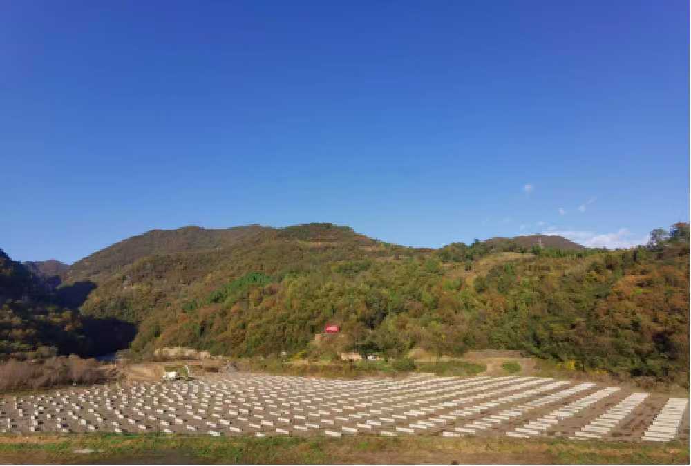 抓安全 保質(zhì)量 搶進(jìn)度 漢中分公司全力推進(jìn)重點(diǎn)項(xiàng)目建設(shè)