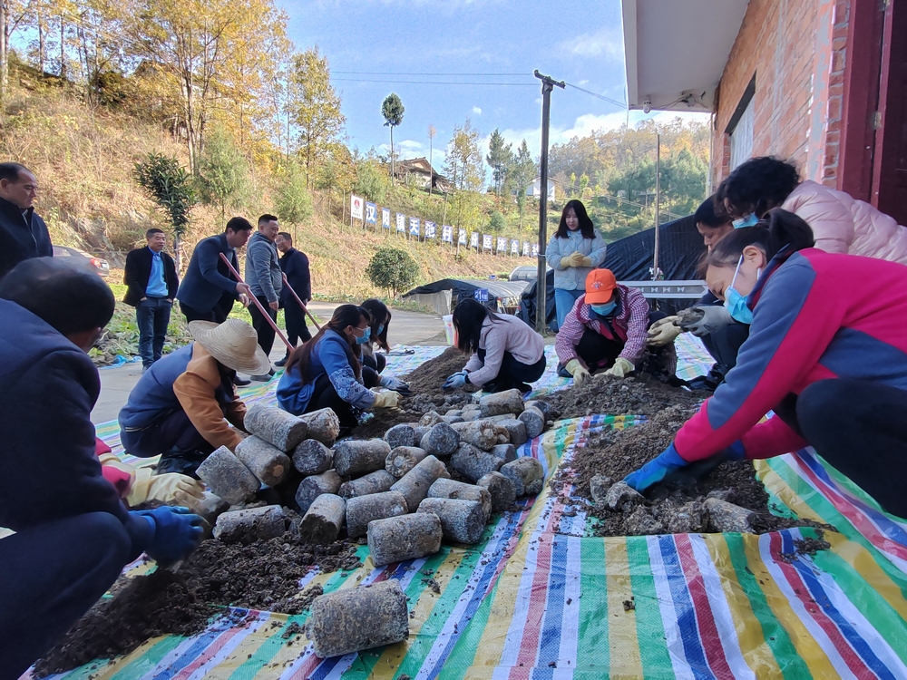 陜煤建設(shè)定點(diǎn)幫扶村：羊肚菌產(chǎn)業(yè)開啟致富新引擎