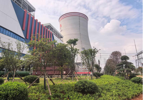 陜煤建設(shè)西北分公司：綠意盎然入電廠，生態(tài)建設(shè)譜新章