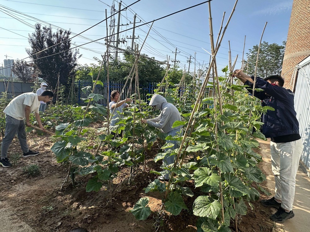 方寸菜園間，鐫刻奮斗與溫情