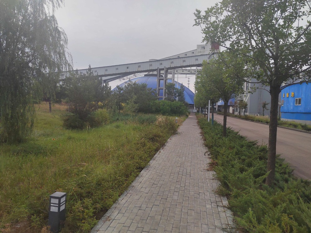 陜煤建設(shè)洗選煤運(yùn)營公司紅柳林洗煤廠項(xiàng)目部：秋韻里的安全堅(jiān)守與生產(chǎn)奮進(jìn)