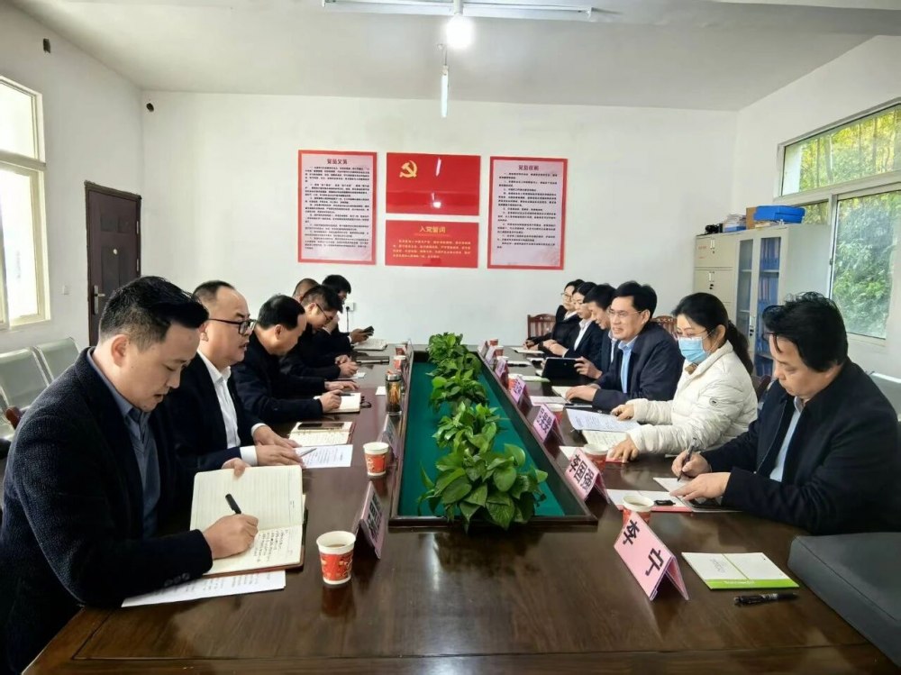 司正林深入定點幫扶村調(diào)研督導鄉(xiāng)村振興工作