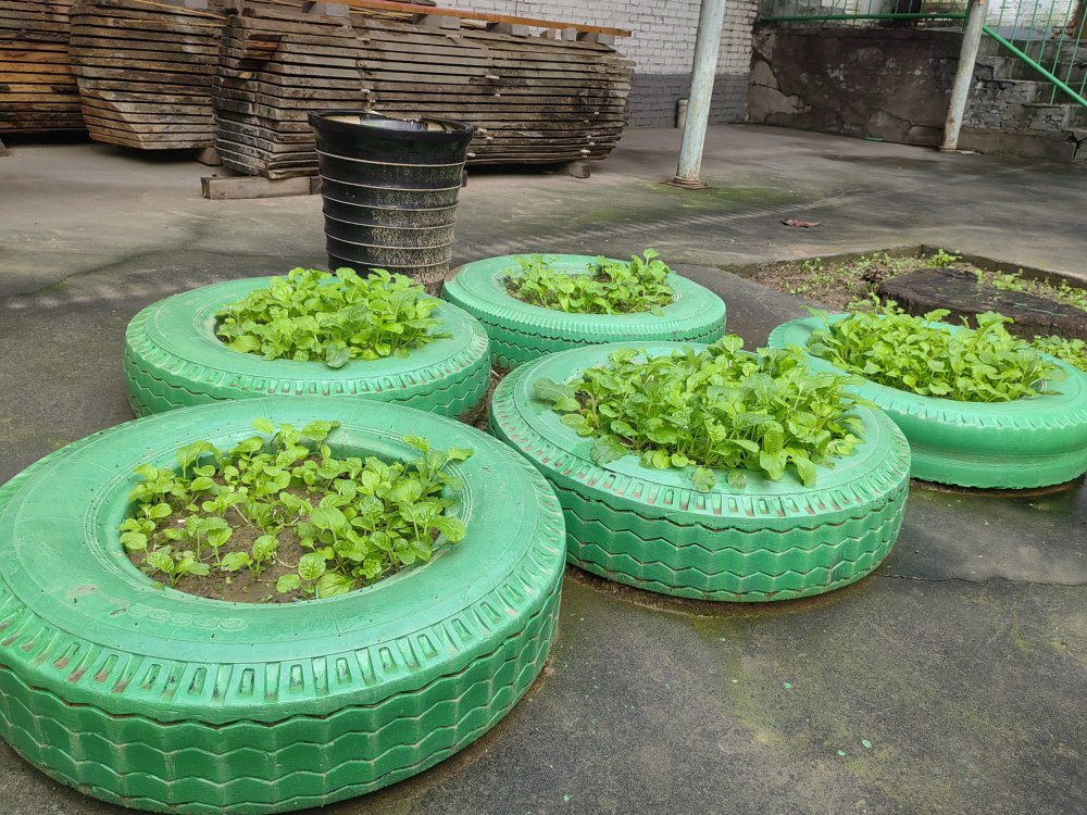 創(chuàng)意無休，廢舊輪胎也能C位出道