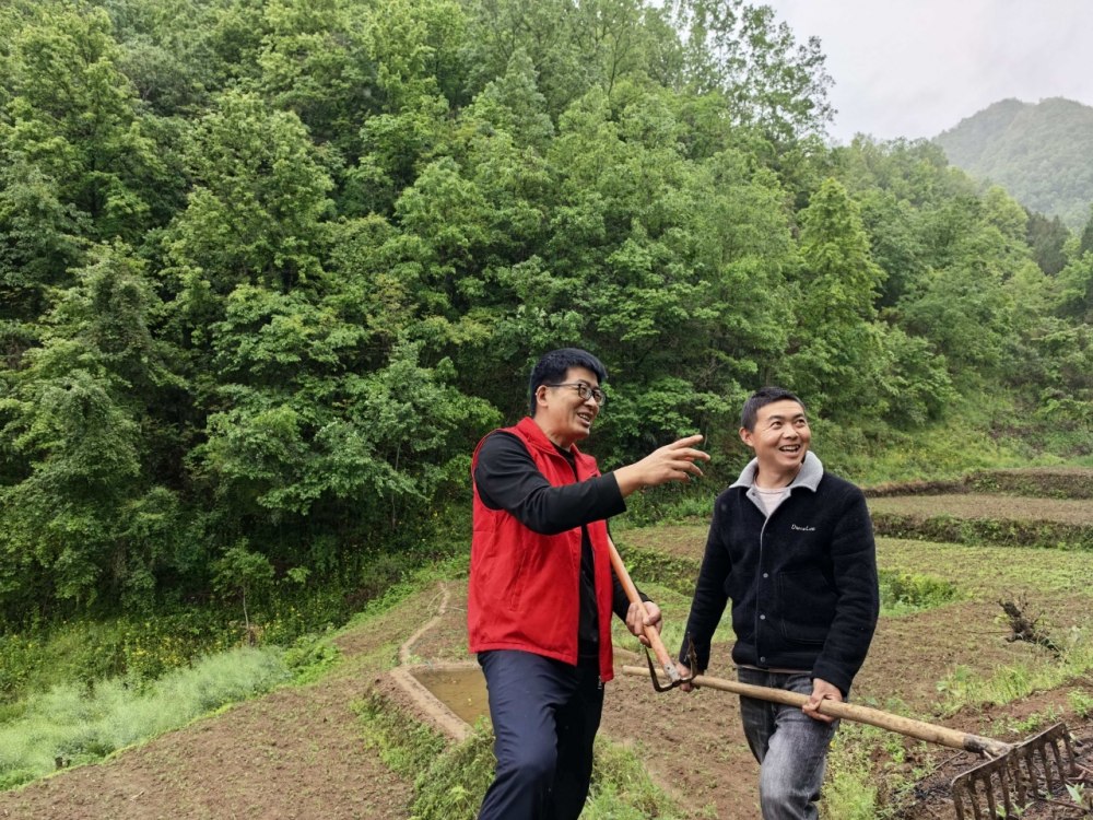 雨生百谷，情滿山村