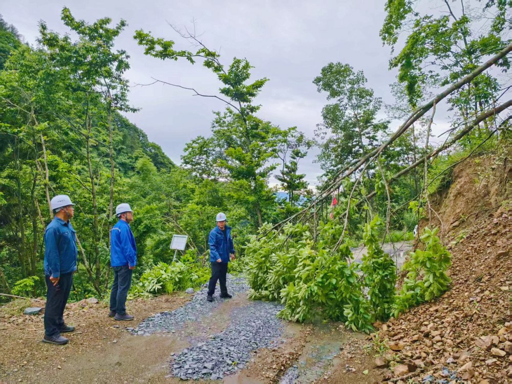 暴雨突襲阻通行 緊急清障保暢通